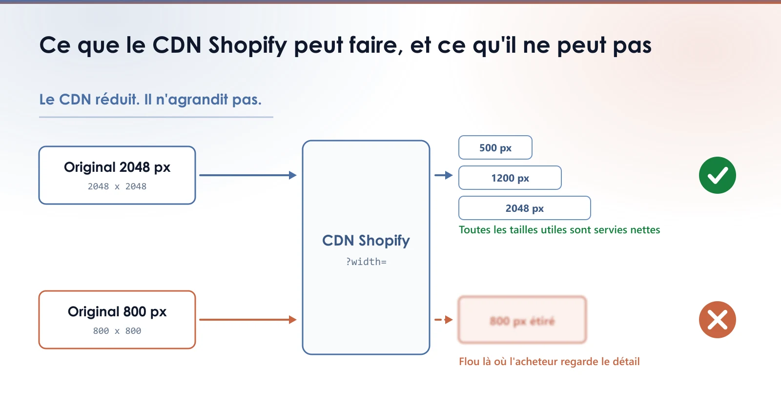 Schéma : un fichier original de 2048 px passe par le CDN Shopify, qui en tire des variantes plus petites, alors qu'un original de 800 px ne donne qu'une image étirée et floue.